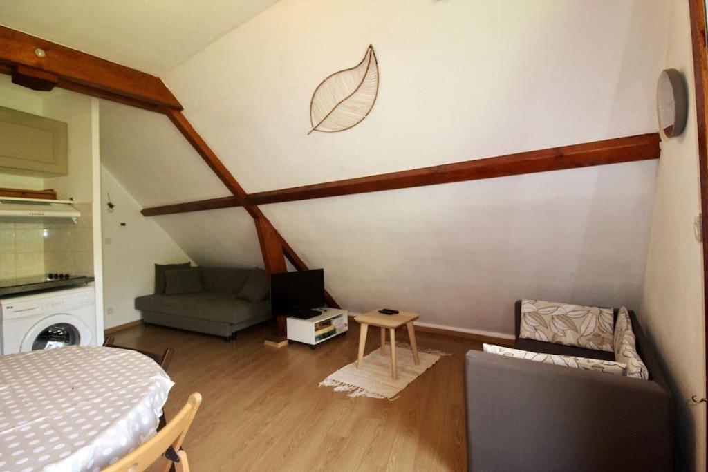 Bel Appartement T2 Cabine Loudenvielle Kültér fotó
